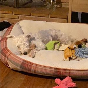 Meet your Posher, Carolyn